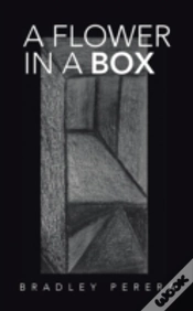 Capa do artigo A Flower In A Box