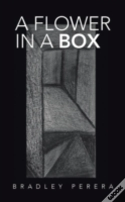 Capa do artigo A Flower In A Box