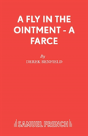 A Fly In The Ointment - Preview