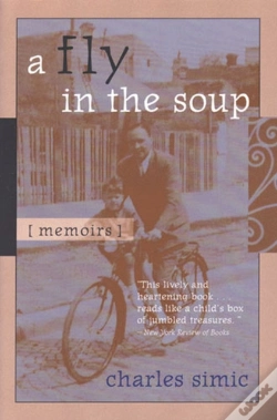 Capa do artigo A Fly In The Soup
