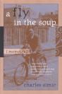 A Fly In The Soup - Preview
