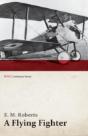 A Flying Fighter - An American Above The - Preview