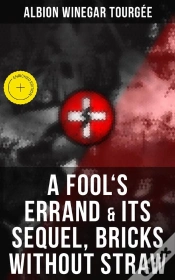 Capa do artigo A Fool