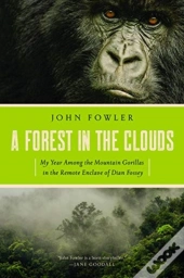 A Forest In The Clouds