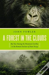Capa do artigo A Forest In The Clouds