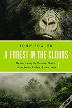 Capa do artigo A Forest In The Clouds