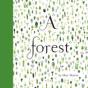 A Forest - Preview