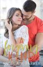 A Forgiving Kind - Preview