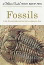 A Fossils - Preview
