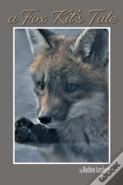 Capa do artigo A Fox Kit