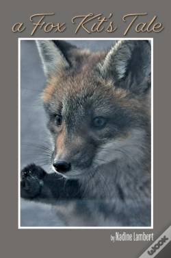 Capa do artigo A Fox Kit'S Tale