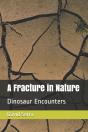 A Fracture In Nature - Preview