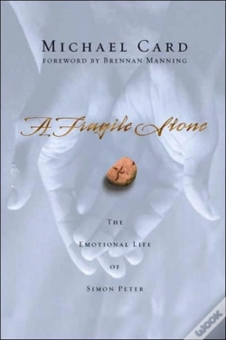 Capa do artigo A Fragile Stone