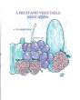A Fruit And Vegetable Education: A Color - Preview