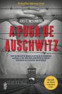 A Fuga de Auschwitz - Preview