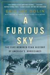 Capa do artigo A Furious Sky