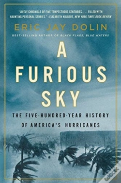 Capa do artigo A Furious Sky