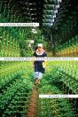 A Future For Amazonia - Preview