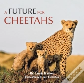 A Future For Cheetahs