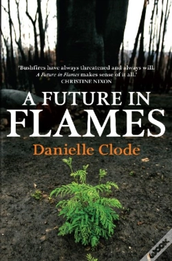 Capa do artigo A Future In Flames