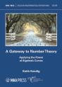 A Gateway To Number Theory - Preview