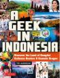 A Geek In Indonesia /Anglais - Preview