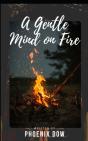 A Gentle Mind On Fire - Preview