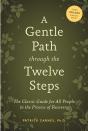 A Gentle Path Through The Twelve Steps - Preview
