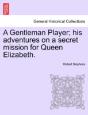 A Gentleman Player; His Adventures On A - Preview