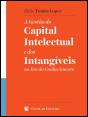 A Gestão do Capital Intelectual e dos Intangíveis na Era do Conhecimento - Preview