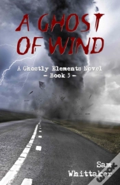 Capa do artigo A Ghost Of Wind
