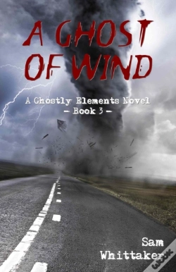 Capa do artigo A Ghost Of Wind