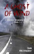 A Ghost Of Wind