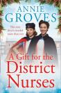 A Gift For The District Nurses - Preview