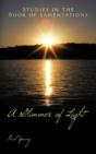 A Glimmer Of Light: Studies In The Book - Preview