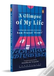 Capa do artigo A Glimpse Of My Life