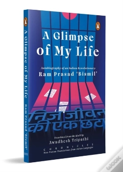 Capa do artigo A Glimpse Of My Life