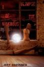 A Glimpse Of The Numinous (Paperback) - Preview