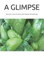 A Glimpse - Preview