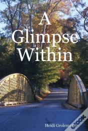 Capa do artigo A Glimpse Within