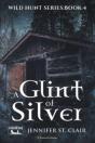 A Glint Of Silver - Preview