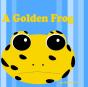 A Golden Frog - Preview