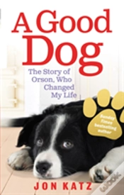 Capa do artigo A Good Dog