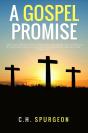 A Gospel Promisse - Preview