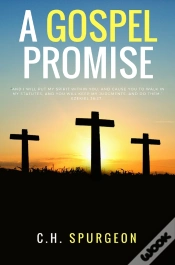Capa do artigo A Gospel Promisse
