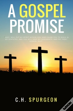 Capa do artigo A Gospel Promisse