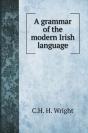 A Grammar Of The Modern Irish Language - Preview