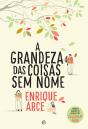 A Grandeza das Coisas Sem Nome - Preview