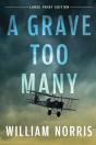 A Grave Too Many - Preview