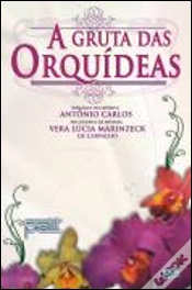 Capa do artigo A Gruta das Orquídeas